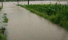 奉节生活网最新爆料,揭秘奉节最新热点事件！