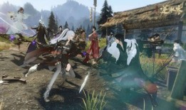 逆水寒老兵服最新爆料,揭秘游戏升级与职业平衡大革新