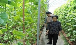 飞机吃瓜最新事件爆料是真的吗,最新爆料真相揭秘